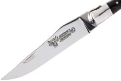 Laguiole En Aubrac 12cm Navaja Con Sacacorcho, De Cuerno De Búfalo L0312BUI-FSI1 12 Laguiole En Aubrac 12cm Navaja Con Sacacorcho, De Cuerno De Búfalo L0312BUI-FSI1 -Böker || Spyderco || Buck Ventas AUL0312BUI FSI1 03 laguiole en aubrac aul0312bui fsi1 03