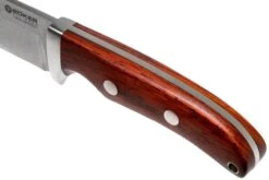 Böker Savannah 120320 Cocobolo Cuchillo De Caza, Armin Stütz Design -Böker || Spyderco || Buck Ventas BO120320 06 boker