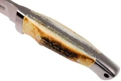 Böker Vollintegral 2.0 Cuerno De Venado 121586 Cuchillo De Caza -Böker || Spyderco || Buck Ventas BO121586 05 boker bo121586 05