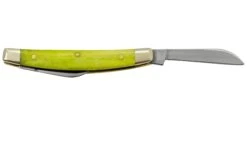 Case Small Congress 53032 Green Apple Bone, Navaja -Böker || Spyderco || Buck Ventas CE53032 02 case