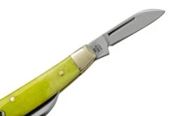 Case Small Congress 53032 Green Apple Bone, Navaja -Böker || Spyderco || Buck Ventas CE53032 04 case