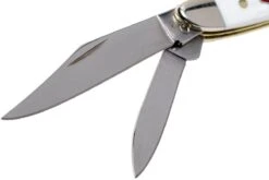 Case Peanut SparXX White Synthetic, 60188, 6220 SS Navaja 15 Case Peanut SparXX White Synthetic, 60188, 6220 SS Navaja -Böker || Spyderco || Buck Ventas CE60188 04 case ce60188 04