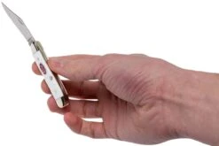 Case Peanut SparXX White Synthetic, 60188, 6220 SS Navaja 21 Case Peanut SparXX White Synthetic, 60188, 6220 SS Navaja -Böker || Spyderco || Buck Ventas CE60188 10 case ce60188 10