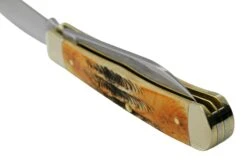 Case Trapper 65329, 6.5 BoneStag, Navaja 12 Case Trapper 65329, 6.5 BoneStag, Navaja -Böker || Spyderco || Buck Ventas CE65329 05 case