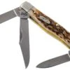 Case Stockman Amber Jigged Bone, 00079, 63032 CV Navaja -Böker || Spyderco || Buck Ventas CE79 01 case ce79 01