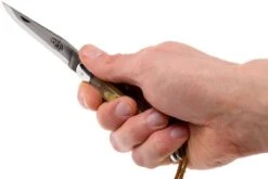 Forge Laguiole 12110INCABDF, Cuerno Aubrac -Böker || Spyderco || Buck Ventas LA12110INCABDF 07 forge de laguiole la12110incabdf 07