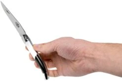 Forge Laguiole Airbus A350 1211 INAIRBUS Navaja Laguiole -Böker || Spyderco || Buck Ventas LA1211INAIRBUS 07 forge de laguiole