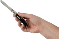 Old Timer Bearhead Trapper 96OT, Navaja Slipjoint -Böker || Spyderco || Buck Ventas OT96OT 05 schrade old timer